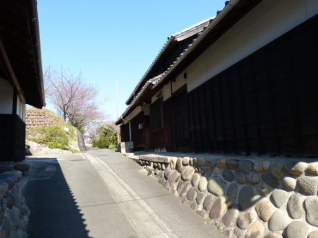 画像9